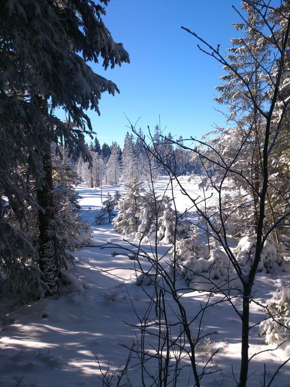 フェルトベルクSchwarzwald-Chalet Feldbergアパートメント エクステリア 写真