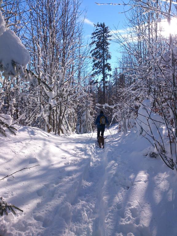 Schwarzwald-Chalet Feldberg エクステリア 写真