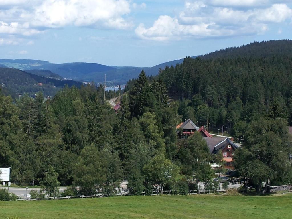 Schwarzwald-Chalet Feldberg エクステリア 写真