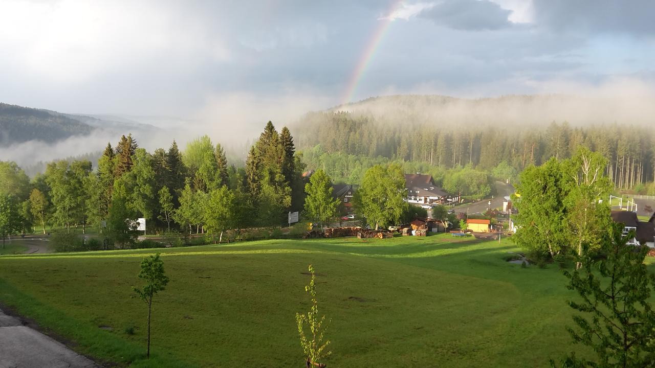 フェルトベルクSchwarzwald-Chalet Feldbergアパートメント エクステリア 写真